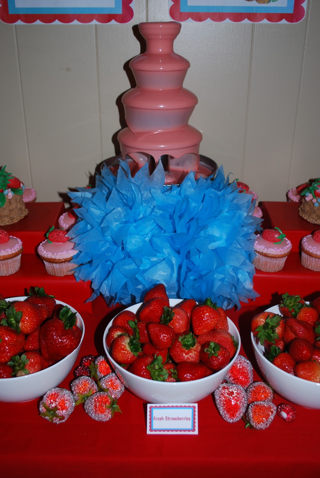 >Sofia's Strawberry Shortcake Party | StixNpops Blog